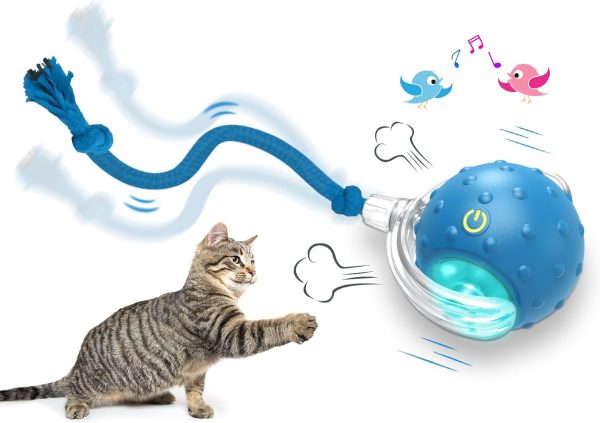 Interactive Cat Toys Ball for Indoor Cats Fast Rolling on Carpet, Chirping & Motion Activate Cat Toys (Blue)