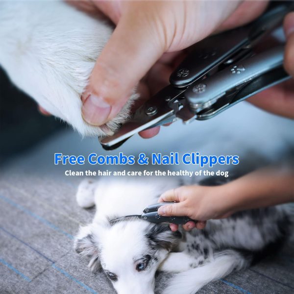 Best Dog Nail Trimmers for Anxiety Sensitive Dogs, Quiet Sharpest Smoothest Nail Clippers for Large Dog Medium Small, Professional Stainless Steel with Nail File & Comb, Left-Handed Friendly - Image 2